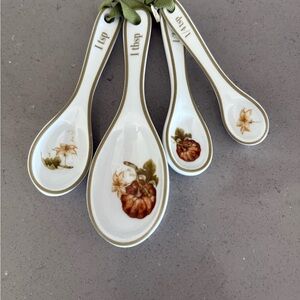 Williams Sonoma Ceramic Pumpkin Measuring Spoons Set hard to find